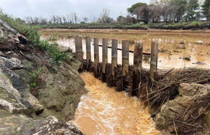 Hier ist der Stand des Grundwasserspiegels in den Pyrénées-Orientales nach den starken Regenfällen