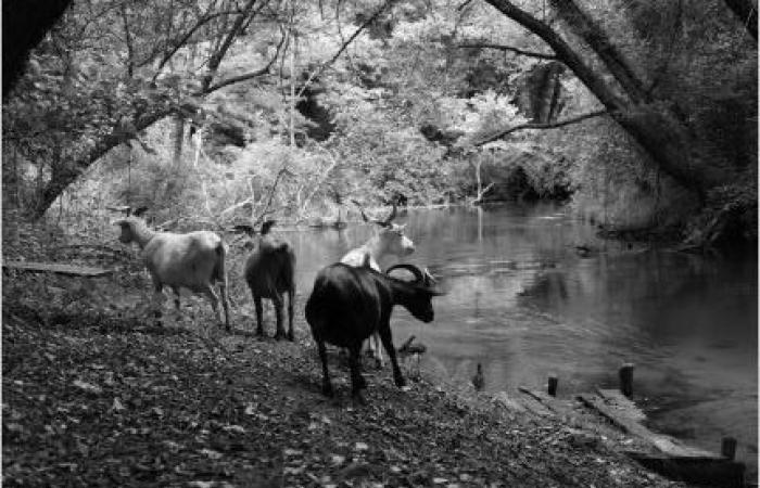 AUSFLUGSIDEEN – LANDES – WOCHENENDE 1.-2.-3. NOVEMBER