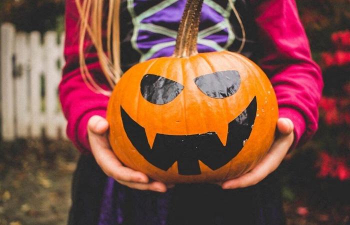 Halloween in Maine-et-Loire. Der Präfekt ergreift Maßnahmen, um die Sicherheit der Feierlichkeiten zu gewährleisten