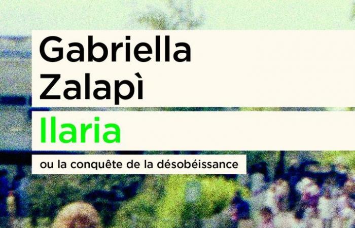 „Ilaria oder die Eroberung des Ungehorsams“ von Gabriella Zalapì, eine rohe Geschichte einer gestohlenen Kindheit