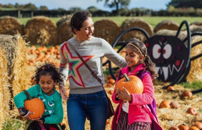 Feiern Sie Halloween in der Bergerie Nationale de Rambouillet!