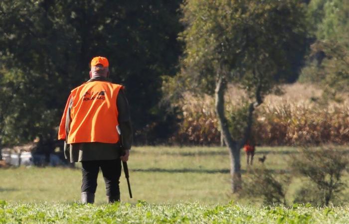 Ein Jäger wurde mit einer Geldstrafe belegt, weil er die Sicherheitsabstände nicht eingehalten hatte