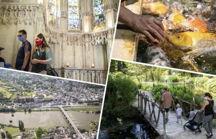 Vier Ausflugsideen für das Wochenende vom 2. und 3. November in Amboise