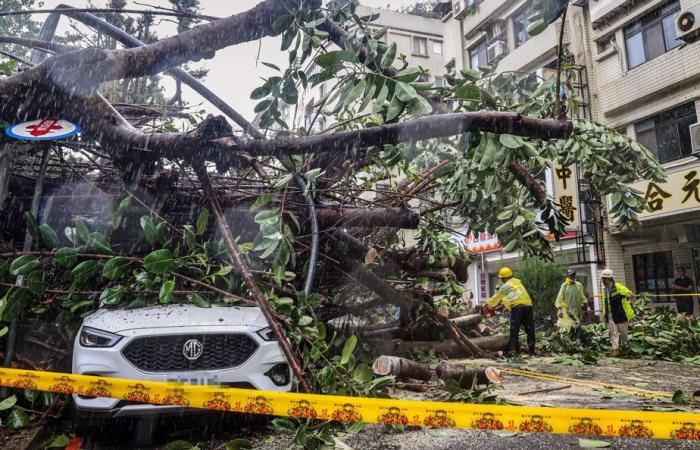 Taiwan | Taifun Kong-rey tötet zwei, verletzt mehr als 500