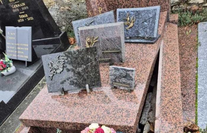 Ein Familiengrab wurde auf einem Stadtfriedhof zerstört