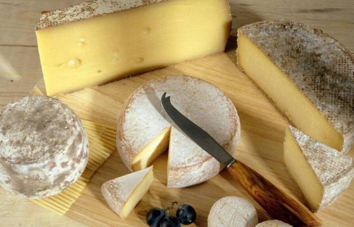 Salmonellose. Überall in Frankreich wird Mont d’Or-Käse zurückgerufen