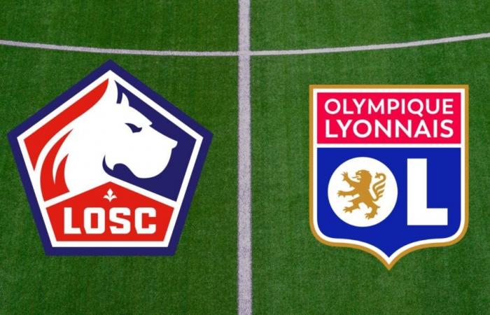 Lyon: Zu welcher Zeit und auf welchem ​​Kanal kann man das Ligue-1-Spiel live verfolgen?