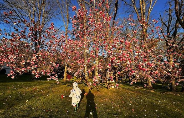 Richard Gere und seine Frau Alejandra lassen die riesige Ranch in Connecticut zurück