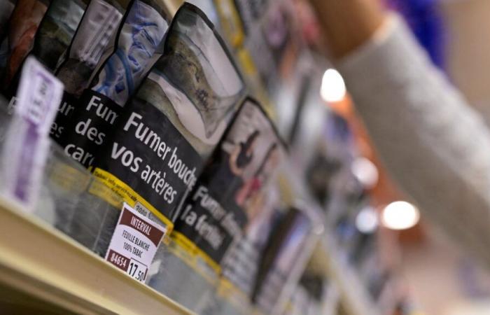 „Der Preis einer Zigarettenschachtel sollte ein- bis zweimal im Jahr um einen Euro erhöht werden“, plädiert das Bündnis gegen Tabak