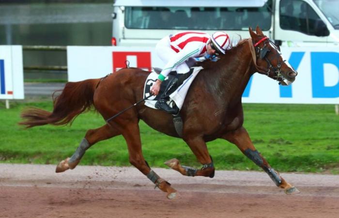 Annick-und-Georges-Dreux-Preis: Jimako Verderie als Chefin