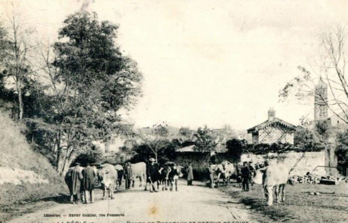 Tauchen Sie ein in die Ursprünge einer der größten Messen der Gironde