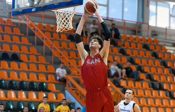 Basketball: Olivier Rioux, der größte Spieler der Welt