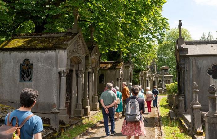 Top 3 Friedhöfe, auf denen man in Hauts-de-France gut spazieren gehen kann