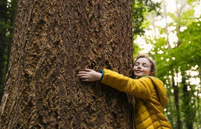 Warum müssen wir unser Einfühlungsvermögen für die Natur entwickeln?