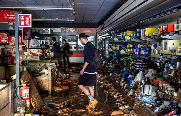 Ein Anbruch von Plünderungen, schwimmenden Autos und 12 dehydrierten Pferden im Gewerbegebiet Alfafar | Spanien