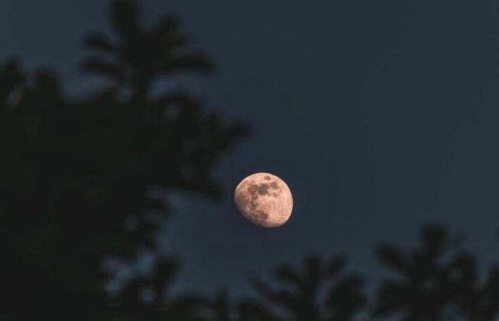 Der Neumond am 1. November wird einen großen Einfluss auf diese Zeichen haben