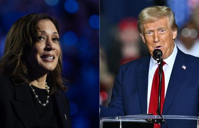 das verwirrende Szenario eines perfekten Unentschiedens zwischen Donald Trump und Kamala Harris