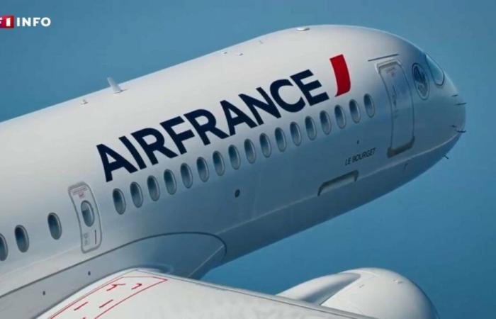 Flugtickets: Air France erhebt bereits vor der Verabschiedung des Gesetzes einen Zuschlag