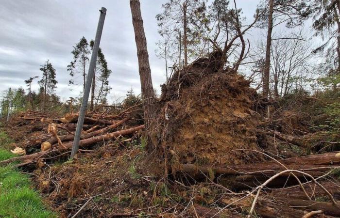 Sturm Ciaran, ein Jahr später: Die im Ärmelkanal eingesetzten außergewöhnlichen Maßnahmen belaufen sich auf fünfstellige Beträge