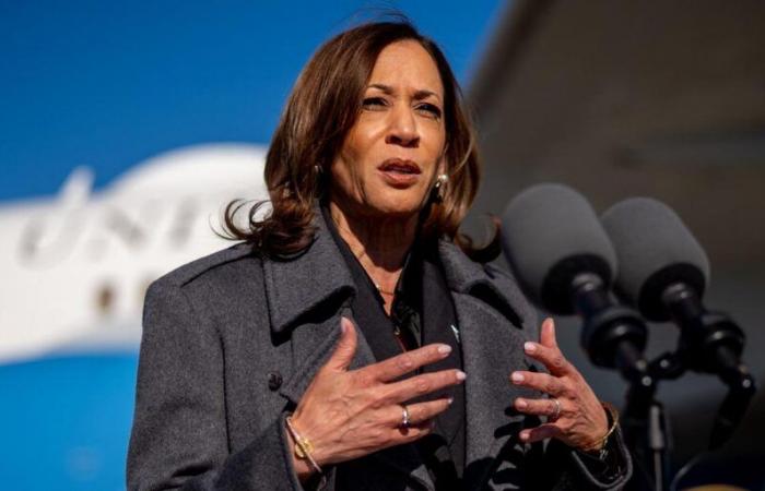 Laut Kamala Harris „disqualifiziert“ Donald Trumps verbale Gewalt ihn für das Weiße Haus