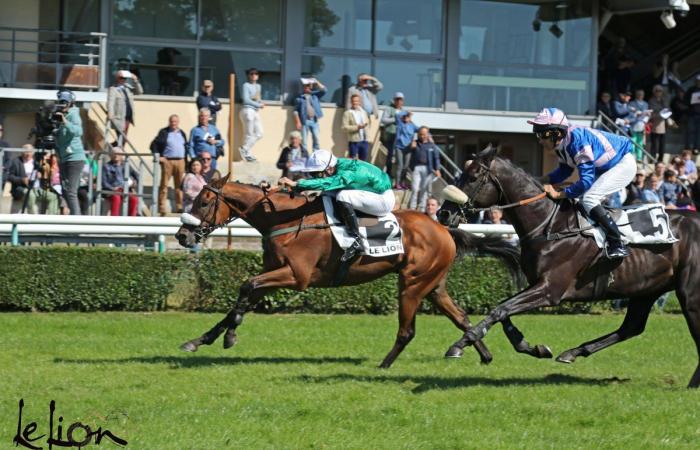 Das Grand-Prix-Treffen von Nantes, ein Muss im Rennherbst, ab 11:40 Uhr auf Facebook Live zu verfolgen.