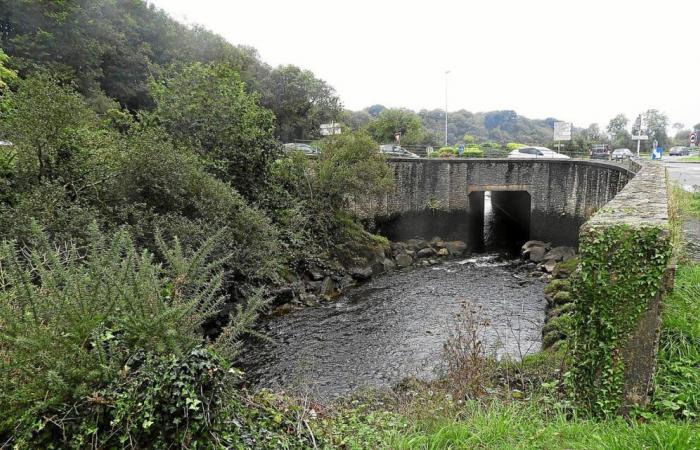 Nach der Umweltverschmutzung in Plouvien gibt der Präfekt von Finistère Sill einen Monat Zeit, um den Auflagen nachzukommen