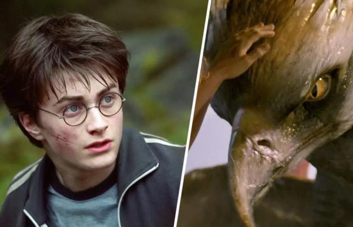 Harry-Potter-Fans sind über die offizielle Absage unbeeindruckt – Harry Potter