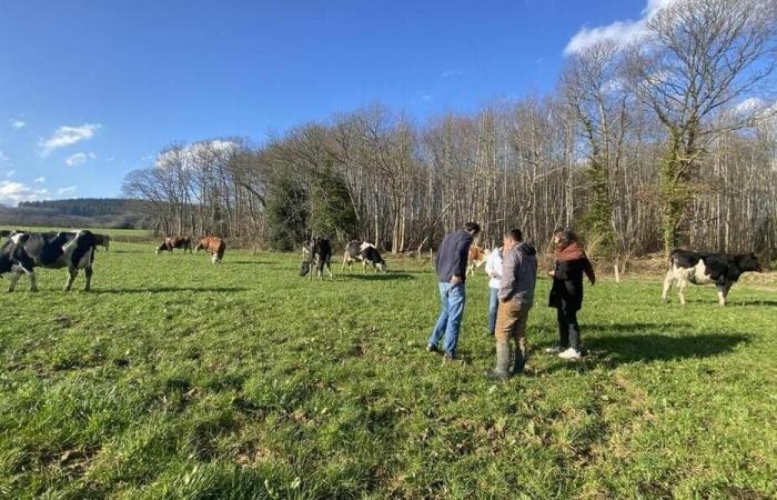 Umweltfreundliche landwirtschaftliche Praktiken: kostenlose Schulung in Orne