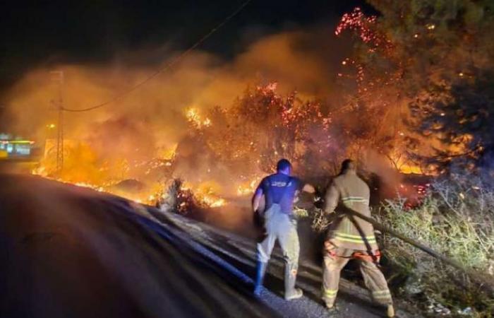 Feuer im Wald von Roumieh unter Kontrolle gebracht