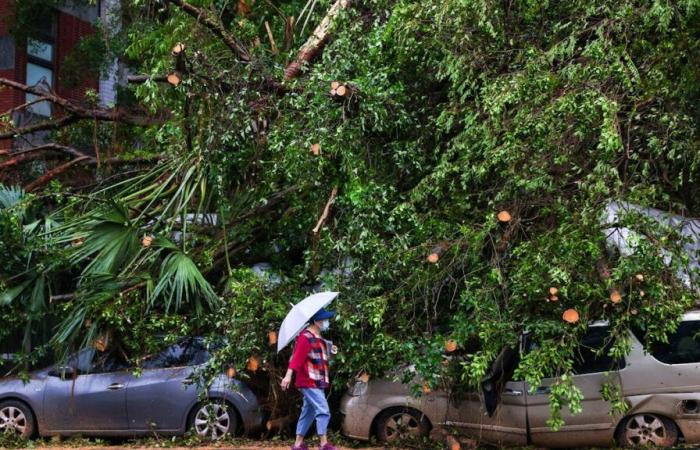 Taiwan: Taifun Kong-rey hinterlässt zwei Tote und mehr als 500 Verletzte