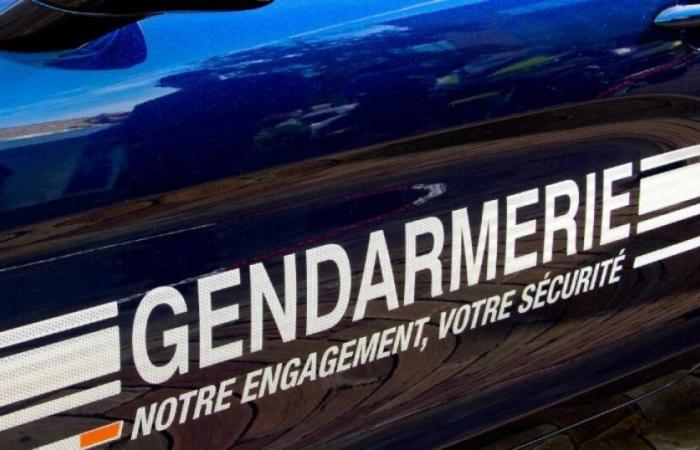 In den Ardennen blitzten Batman und Catwoman am Halloween-Abend mit mehr als 200 km/h auf: News