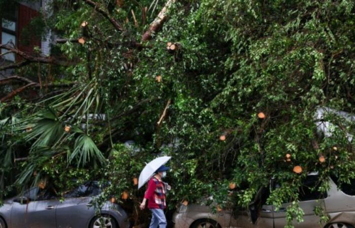 Taiwan: Zwei Tote und mehr als 500 Verletzte nach Taifun Kong-rey: Nachrichten