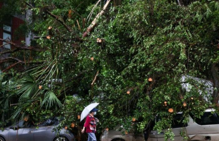 Taiwan: Zwei Tote und mehr als 500 Verletzte nach dem Durchzug des Taifuns Kong-rey