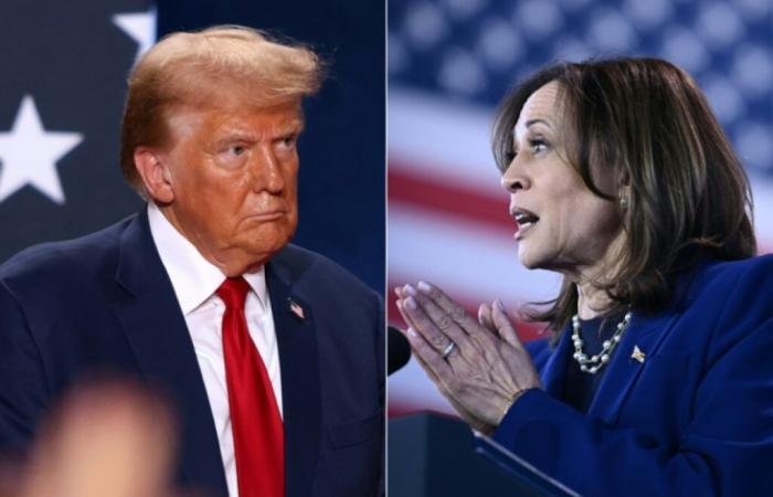 Harris und Trump in verbaler Eskalation, um Schlüsselstaaten zu entreißen – 11.02.2024 um 00:52 Uhr