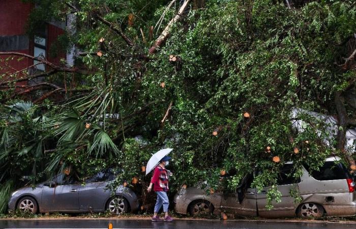 Windgeschwindigkeiten von 184 km/h und sintflutartiger Regen: Zwei Tote und mehr als 500 Verletzte, nachdem Taifun Kong-rey Taiwan getroffen hat