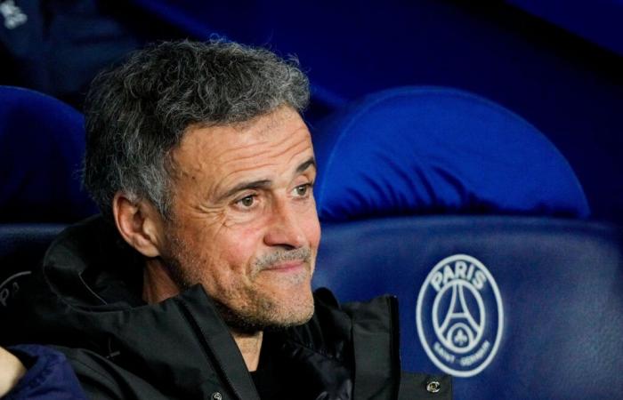 Mercato: PSG ist „ein Phänomen“!