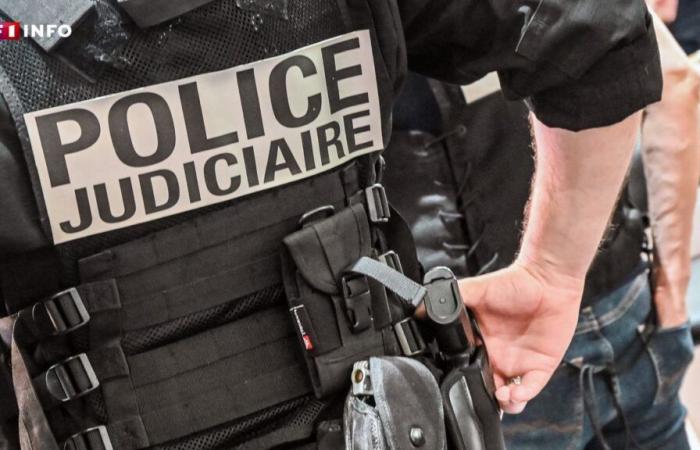 LIVE – Poitiers: Fünf Verletzte bei einer Schießerei während einer Schlägerei mit „400 bis 600 Personen“