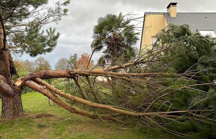 Sturm Ciaran, ein Jahr später: Feuerwehrleute von Lessay „von der Welt abgeschnitten“