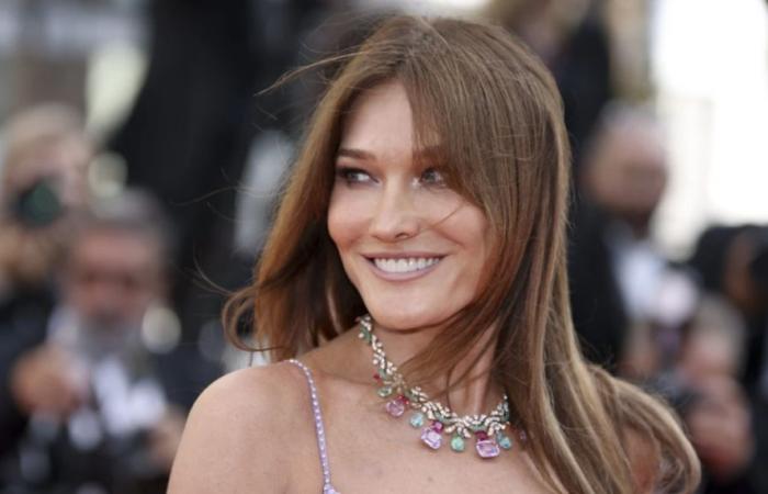 Star-Immobilien: Carla Bruni verkauft ihr Schloss in Italien! – Aktuelle Immo