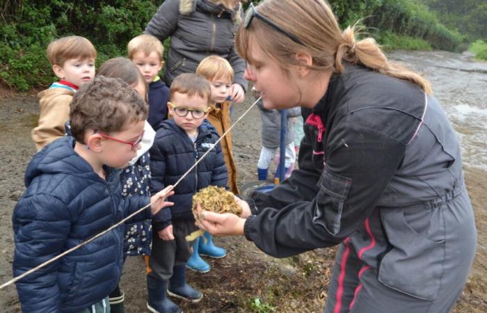 Dank Finistère-Ersatz besuchen Kinder einen Bauernhof