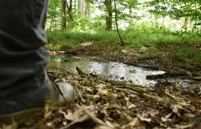 Geschlossene Brände, bedrohte Senioren, renovierte Friedhöfe… Zu den Nachrichten von Montag, 28. Oktober, bis Freitag, 1. November, im Loiret