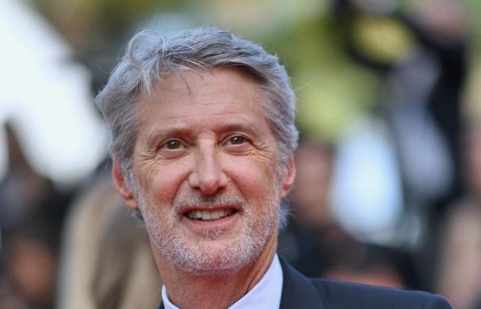 „Nach dem Live haben wir gelacht, wir haben getanzt“: Antoine de Caunes erzählt hinter den Kulissen der bewegten Geschichte von Canal+