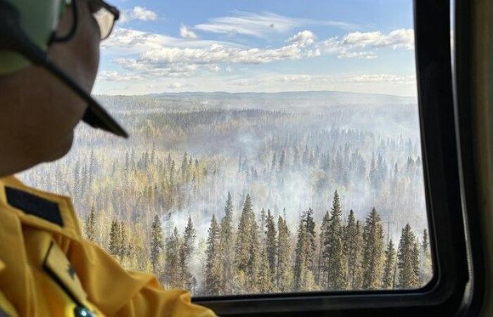 NWT. erlebte im Jahr 2024 eine „sehr aktive“ Waldbrandsaison