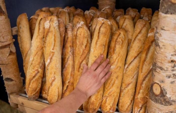 Macht Frankreich immer noch das beste Brot der Welt?