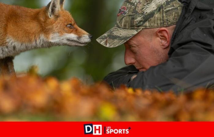 Begegnung von Angesicht zu Angesicht zwischen Maxime Bachely, Naturfotograf aus Maubray, und einem Fuchs