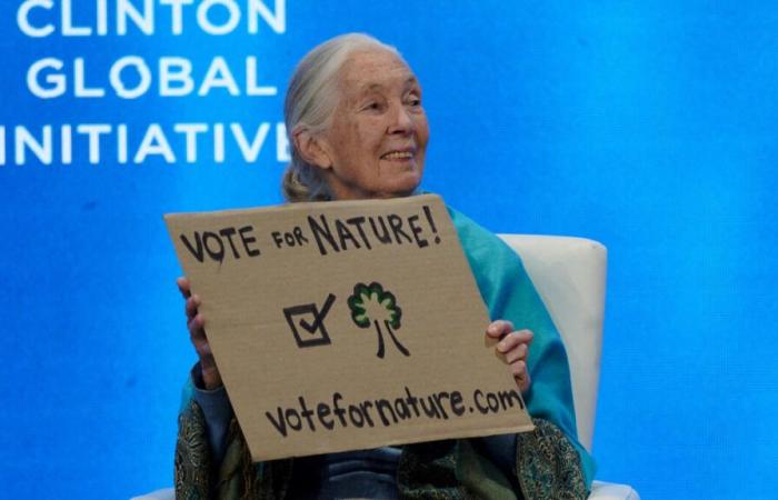 In Côtes-d’Armor befindet sich ein Wildschutzgebiet, das nach Jane Goodall, der Ikone der Artenvielfalt, benannt ist