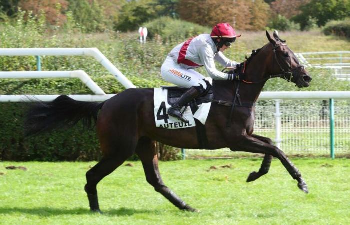 Quinté+ ab Samstag, 11.02.2024 in Compiègne: Panarea bietet Garantien