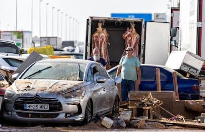 Ein Anbruch von Plünderungen, schwimmenden Autos und 12 dehydrierten Pferden im Gewerbegebiet Alfafar | Spanien