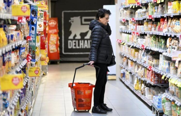 Delhaize, Carrefour, Colruyt… was am 1. November geöffnet und was geschlossen ist