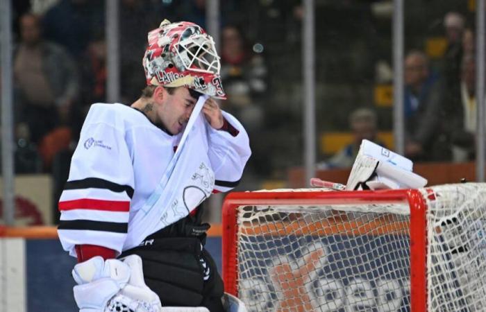 Eishockey: Ein Spiel zum Vergessen für Lausanne, Niederlage in Bern